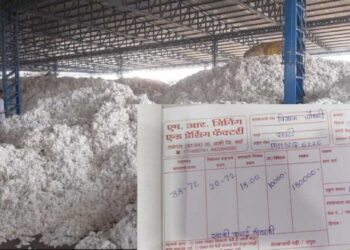 पहिल्यांदाच कापसाला 10 हजाराचा भाव ; शेतकरी समाधान