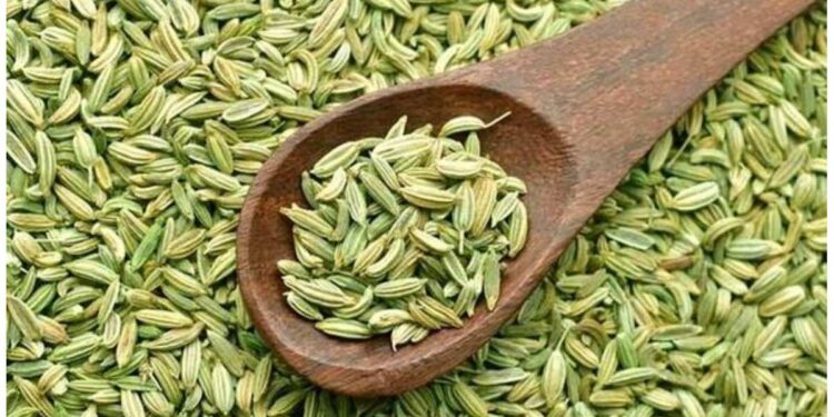 मधुमेहाच्या रुग्णांनी करावे बडीशेपचे सेवन, रक्तातील साखर वाढणार नाही