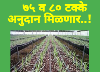 शेतकऱ्यांना कृषि सिंचन योजनेंतर्गत  ७५ व ८० टक्के अनुदान मिळणार!