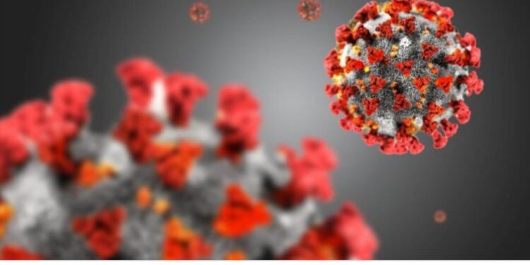 जळगाव जिल्ह्यात कोरोनाचा उद्रेक ; आज नवे ३७७ रुग्ण आढळले