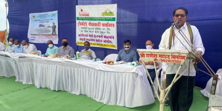 कमीतकमी काळात व कमी खर्चात टोमॅटोचे फायदेशीर पीक म्हणून टोमॅटोकडे वळावे