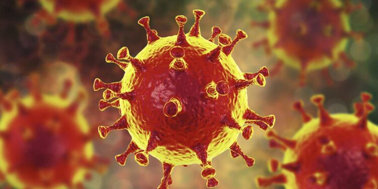 जळगाव जिल्ह्यात कोरोनाचा विस्फोट, आज तब्बल २२१ बाधित रुग्ण