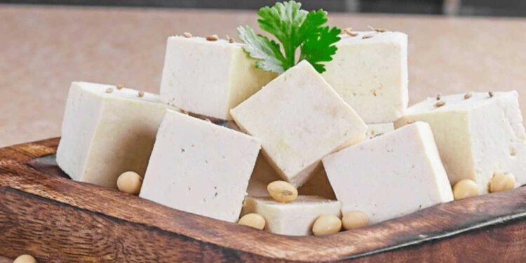 तुम्हीही कच्चे पनीर खाताय? आधी जाणून घ्या फायदे आणि तोटे