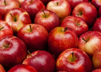 यावेळेत रोज 1 सफरचंद खाणे सुरू करा, मिळतील हे जबरदस्त फायदे