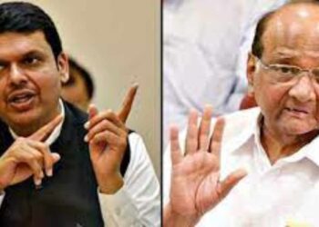 नावात राष्ट्रवादी असलं म्हणजे…, देवेंद्र फडणवीसांची टीका