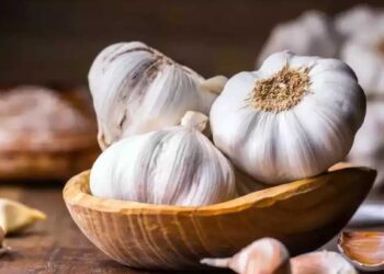 लसूण जास्त खात असाल तर सावधान? होऊ शकतात ‘हे’ नुकसान