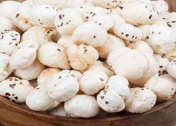 सकाळी रिकाम्या पोटी मखना खा ! मिळतील ‘हे’ जबरदस्त 5 फायदे