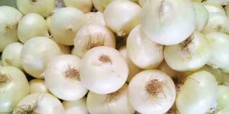 लालच नाही तर पांढरा कांदा देखील आरोग्यासाठी देतो अनेक फायदे