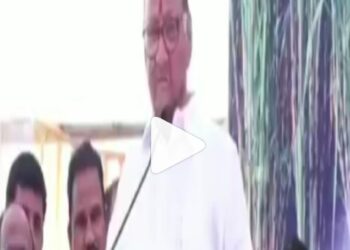 रामदास शिवाजी महाराजांचे गुरु होते ?, राष्ट्रवादीने शरद पवारांचा ‘तो’ व्हिडीओ केला शेअर