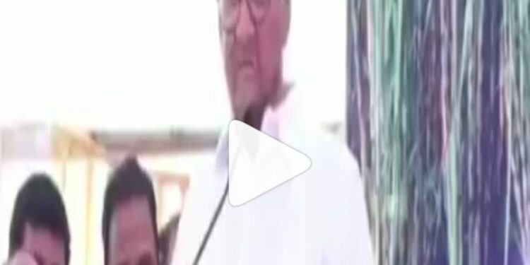 रामदास शिवाजी महाराजांचे गुरु होते ?, राष्ट्रवादीने शरद पवारांचा ‘तो’ व्हिडीओ केला शेअर