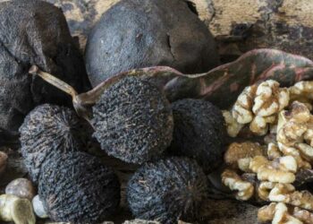 काळे अक्रोडचे ‘हे’ जबरदस्त फायदे वाचून तुम्ही नक्कीच सेवन कराल