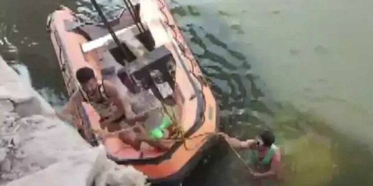 लग्नाआधीच मृत्युने गाठले, वऱ्हाडाची कार नदीत कोसळली, नवरदेवासह ९ जणांचा मृत्यू