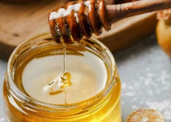 सर्दी-खोकल्यावर मध आहे रामबाण उपाय, जाणून घ्या वापरण्याची योग्य पद्धत