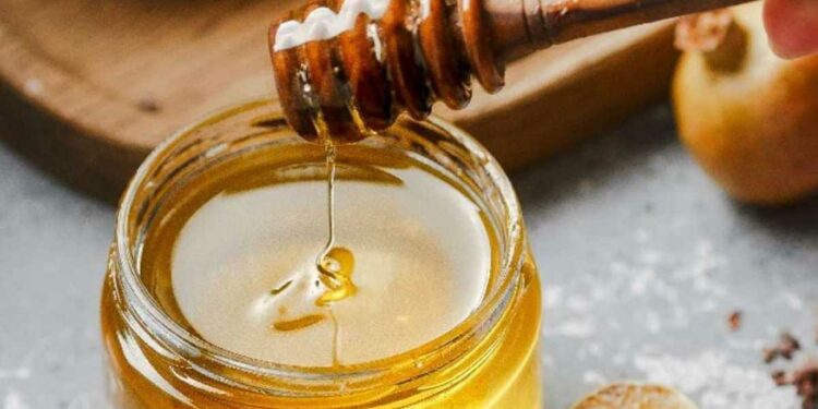 सर्दी-खोकल्यावर मध आहे रामबाण उपाय, जाणून घ्या वापरण्याची योग्य पद्धत