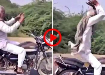 वृद्धाचा असा धोकादायक स्टंट तुम्ही कधीच पाहिला नसेल, पाहून येथील अंगाला काटे