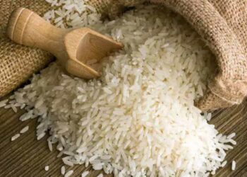तुम्हाला देखील भात खाणे आवडते? मग जाणून घ्या यामुळे होणारे नुकसान