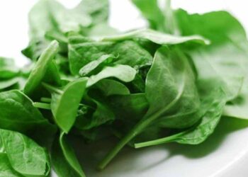हिवाळ्यात पालक जास्त खाल्ल्याने होऊ शकते मोठे नुकसान, मधुमेहींनी काळजी घ्यावी