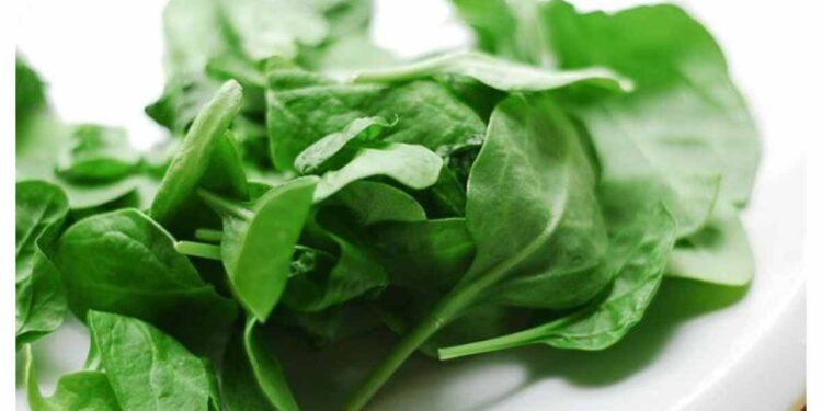 हिवाळ्यात पालक जास्त खाल्ल्याने होऊ शकते मोठे नुकसान, मधुमेहींनी काळजी घ्यावी