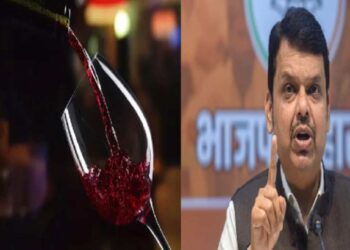 .. तर ते निर्णय मागे घेतील; वाईनच्या निर्णयावर देवेंद्र फडणवीसांची टीका