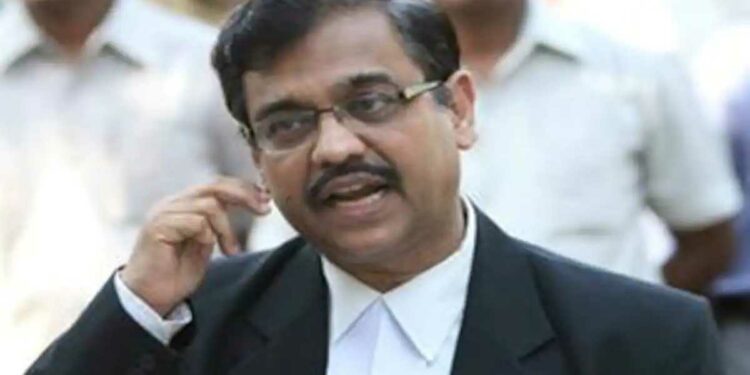 नवाब मलिकांच्या अटकेवर ज्येष्ठ वकील उज्ज्वल निकमांची प्रतिक्रिया, म्हणाले..