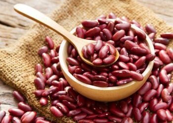 राजमाचा आहारात करा समावेश, मिळतील हे आश्चर्यकारक फायदे, जाणून घ्या