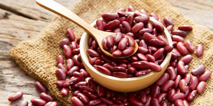 राजमाचा आहारात करा समावेश, मिळतील हे आश्चर्यकारक फायदे, जाणून घ्या