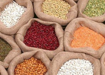 सरकारच्या ‘या’ उपाययोजनांमुळे डाळीच्या दरात मोठी घट