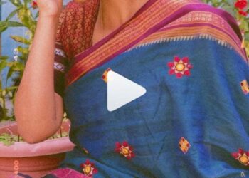 ‘गंगुबाई काठियावाडी’ चित्रपटातील “जब सैयां आये शाम को” या गाण्यावर आर्चीचे ‘एक्सप्रेशन’ पाहून चाहते थक्क…व्हिडीओ पहा