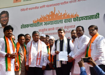 शेतकऱ्यांच्या मागण्या सरकारला मान्य करायला लावू ; माजी मुख्यमंत्री देवेंद्र फडणवीस यांचा निर्धार