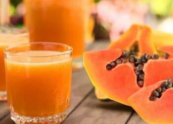 रोजच्या आहारात करा पपईच्या रसाचा समावेश, मिळतील ‘हे’ आरोग्यदायी फायदे