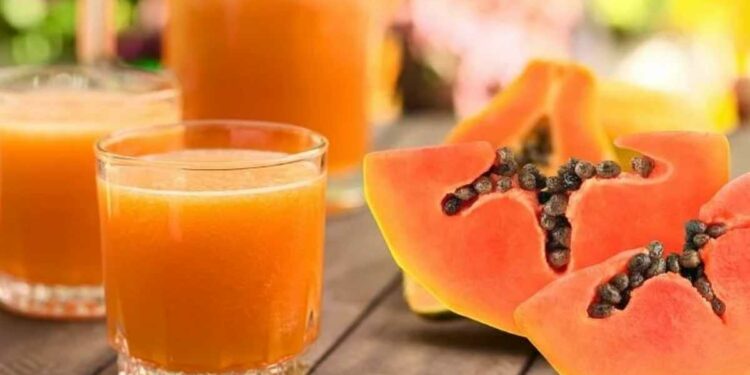 रोजच्या आहारात करा पपईच्या रसाचा समावेश, मिळतील ‘हे’ आरोग्यदायी फायदे