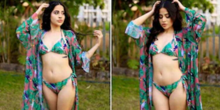 उर्फी जावेदचे बिकिनी फोटो पाहून चाहते झाले घायाळ !