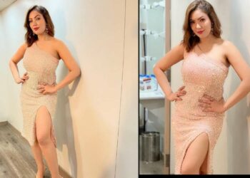 तारक मेहतामधील बबिता जी दिसली ग्लॅमरस ड्रेसमध्ये