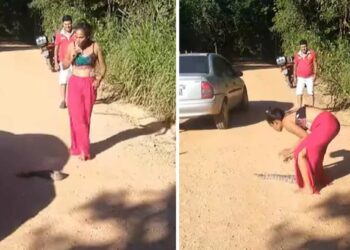 Video ! सिगारेट पेटवत विषारी सापाजवळ पोहोचली मुलगी, मग पुढे जे झालं ते पाहून अंगावर येईल काटा