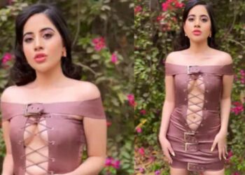 VIDEO: उर्फी जावेदने घातला जाळीचा ड्रेस, युजर्स म्हणाले- ‘हे कपडे आहे की मच्छरदाणी?’