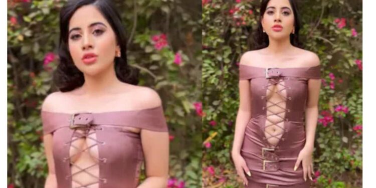 VIDEO: उर्फी जावेदने घातला जाळीचा ड्रेस, युजर्स म्हणाले- ‘हे कपडे आहे की मच्छरदाणी?’