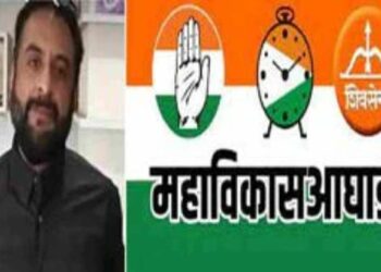 भाजपाला हरवण्यासाठी एमआयएम महाविकास आघाडीसोबत जाण्यास तयार