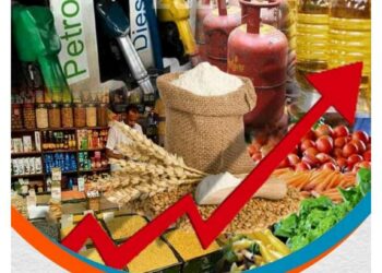 महागाईचा बोजा वाढणार ! जीवनावश्यक वस्तूच्या किमती १० टक्क्यांनी महागण्याची शक्यता