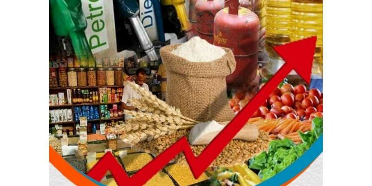 महागाईचा बोजा वाढणार ! जीवनावश्यक वस्तूच्या किमती १० टक्क्यांनी महागण्याची शक्यता
