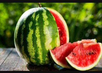 टरबूज उन्हाळ्यात ‘या’ आजारांपासून तुमचे रक्षण करते, जाणून घ्या खाण्याचे आश्चर्यकारक फायदे