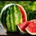 टरबूज उन्हाळ्यात ‘या’ आजारांपासून तुमचे रक्षण करते, जाणून घ्या खाण्याचे आश्चर्यकारक फायदे