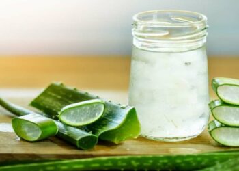 उन्हाळ्यात करा कोरफडीच्या रसाचे सेवन, मिळतील ‘हे’ आश्चर्यकारक फायदे