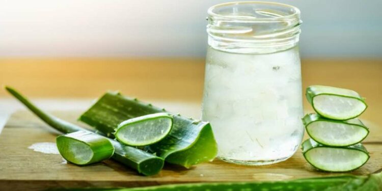 उन्हाळ्यात करा कोरफडीच्या रसाचे सेवन, मिळतील ‘हे’ आश्चर्यकारक फायदे