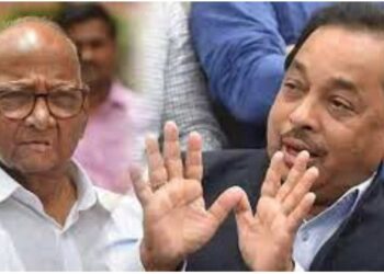 … तेव्हा नारायण राणेंचा राजीनामा भाजपने का घेतला नाही? पवारांचा थेट सवाल