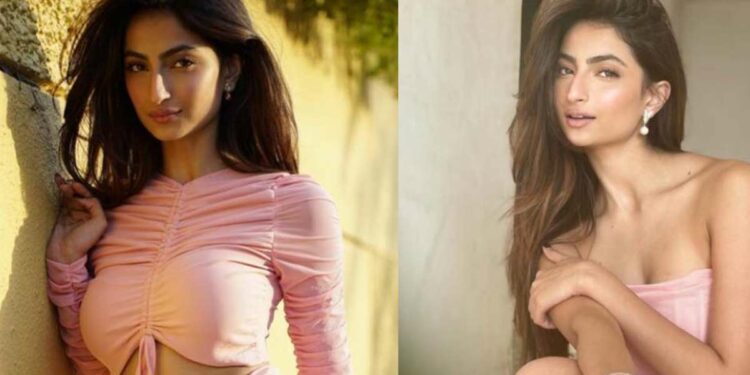 पलक तिवारीच्या ग्लॅमरस लूकने चाहत्यांची मने जिंकली, व्हिडीओसह फोटो व्हायरल