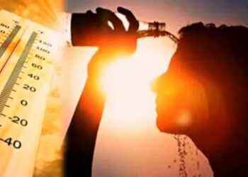 राज्यातील अनेक जिल्ह्यात पारा चाळीशीपार, आज ‘या’ जिल्ह्यांना उष्णतेच्या लाटेचा इशारा