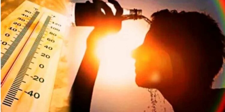 राज्यातील अनेक जिल्ह्यात पारा चाळीशीपार, आज ‘या’ जिल्ह्यांना उष्णतेच्या लाटेचा इशारा