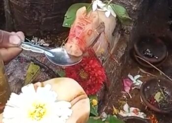 राज्यात अनेक जिल्ह्यात नंदी दूध पित असल्याच्या मॅसेज ; काय आहे सत्य जाणून घ्या…