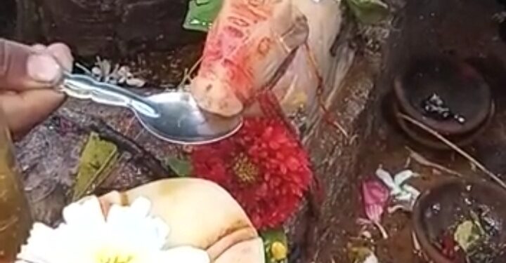 राज्यात अनेक जिल्ह्यात नंदी दूध पित असल्याच्या मॅसेज ; काय आहे सत्य जाणून घ्या…