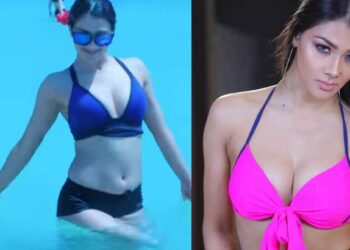 नम्रता मल्लाचा बिकिनीमधील Video व्हायरल, चाहते म्हणाले..